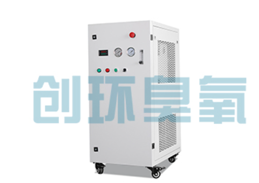 日喀则石斑鱼养殖水质调控完整指南:臭氧发生器配置与操作步骤