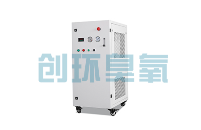 日喀则比传统换水更高效?臭氧发生器在石斑鱼养殖中的水质净化原理解析